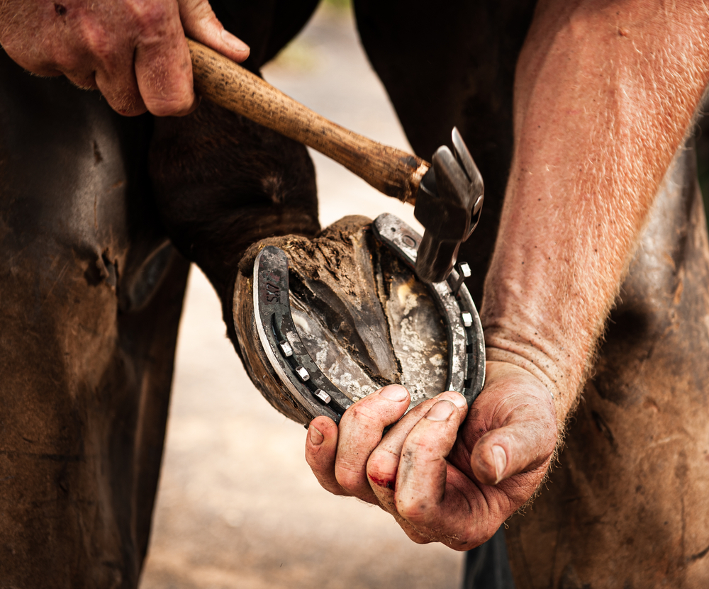 Horseshoeing