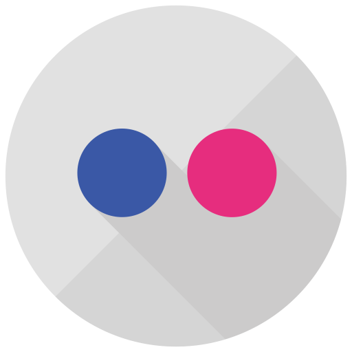 Flickr Icon