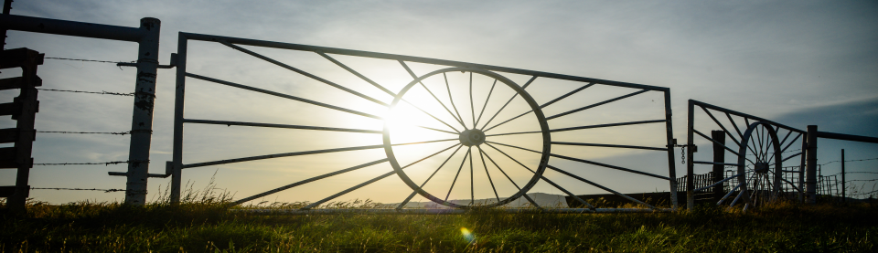 Sunrise over gate