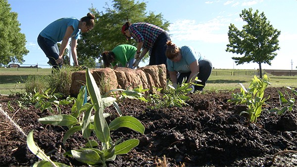 4 people planting wildflowers